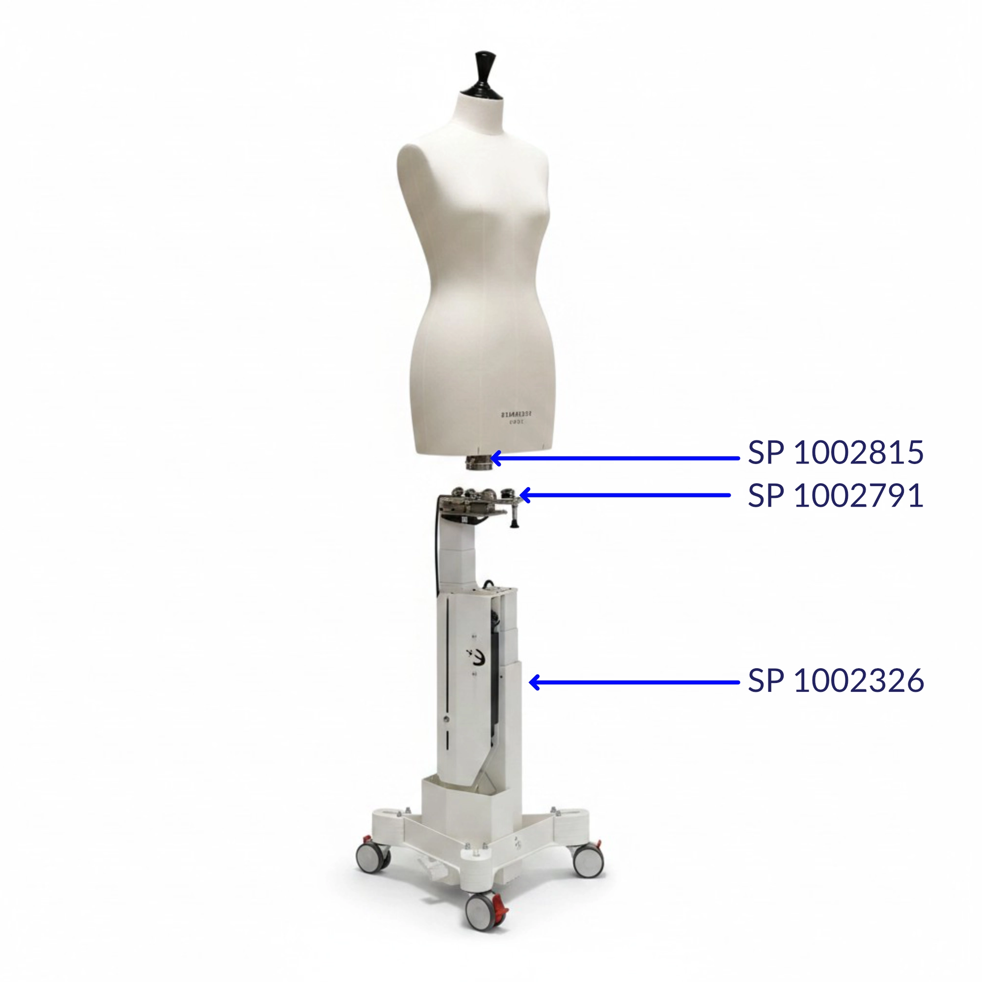Support mannequin ergonomique réglable en hauteur